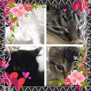 Meet your Posher, Nancy